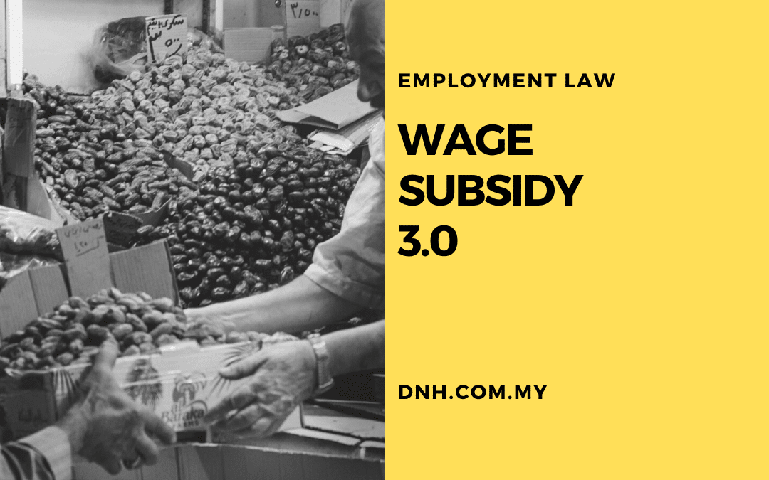 Wage Subsidy 3.0