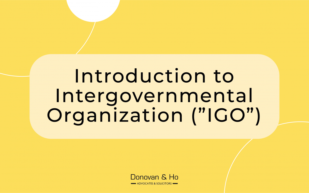 Introduction to Intergovernmental Organizations 