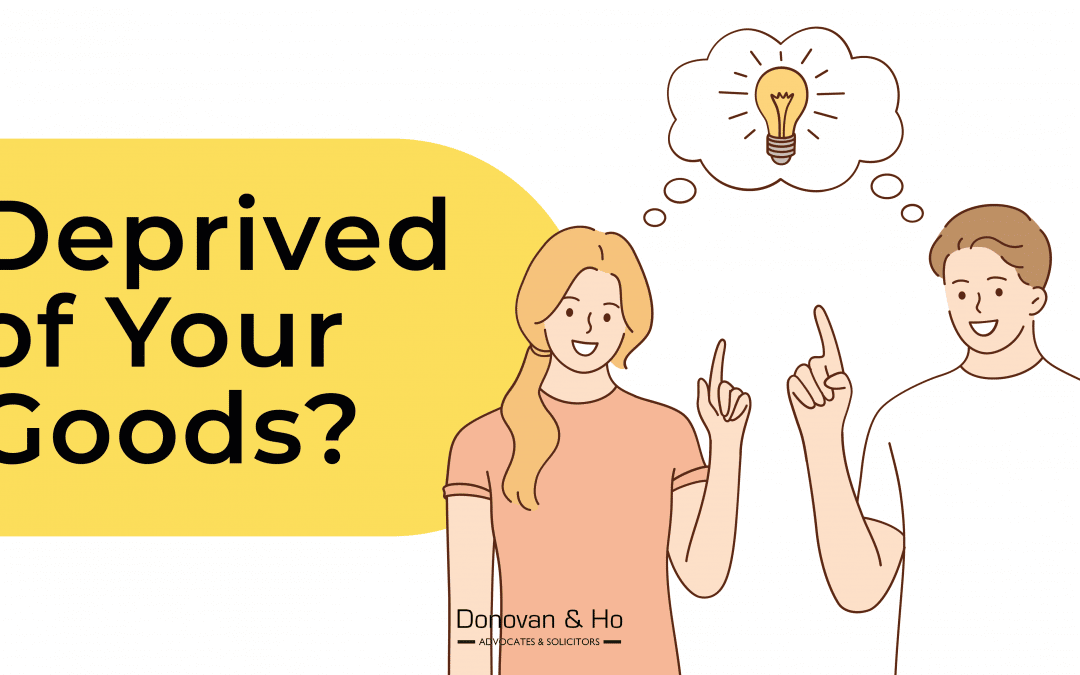 Deprived of Your Goods? How You Can Reclaim What’s Yours